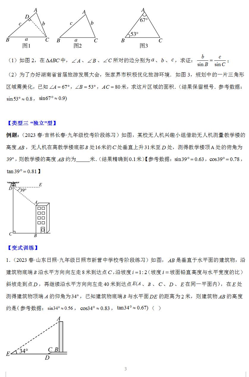 专题11 模型构建专题:解直角三角形应用中的基本模型-2023-2024学年苏科版九年级数学下册常考压轴题